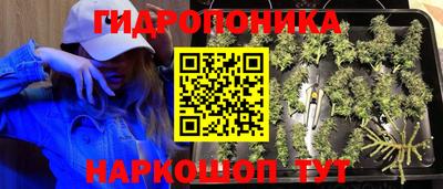 стафф Апшеронск